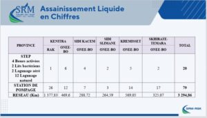 "SRM RSK": an emerging model of sustainable public management 6 Environmental initiatives and public services