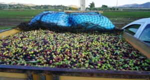 Screenshot 2025 12 14 11 37 05 121 com.linkedin.android edit