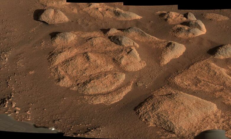 866e47340d 50176279 perseverance roche mastcam