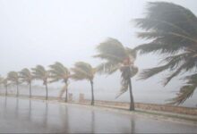 Weather Alert Bulletin: Strong Wind Gusts and Sand or Dust Storms Expected on Friday and Saturday in the South of the Kingdom 7 Alerte meteo rafales de vent e1709819640267