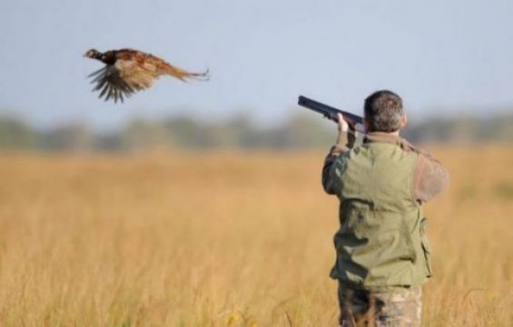 The Higher Council for Hunting Holds Its Regular Session: Towards Sustainable and Modernized Management of the Sector 1 BXrWy0OjqzDeBTl3P2vO5PWG8ParKP9tquX2yF6e
