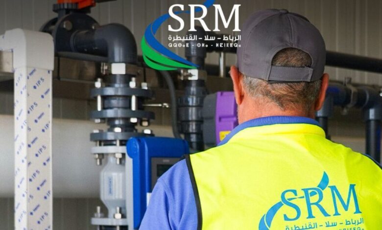 SRM RSK: An Emerging Model of Sustainable Public Management 1 SRM RSK