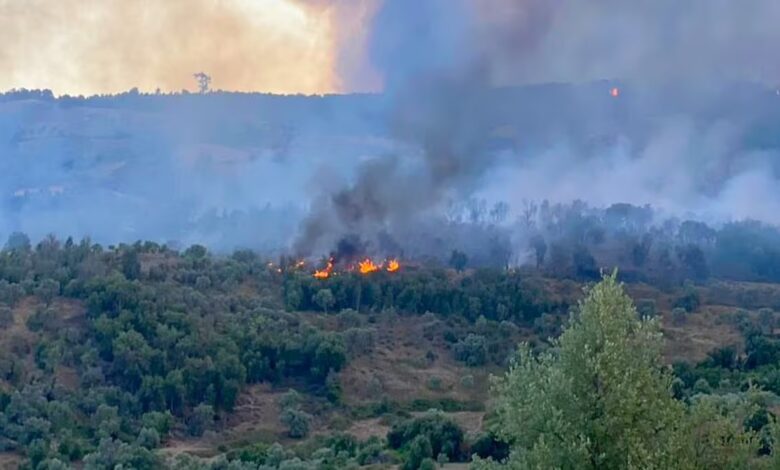 Chefchaouen: Derdara Forest Fire Contained, Security Operations Continue 1 WhatsApp Image 2025 08 13 at 18.45.19