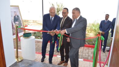 WhatsApp Image 2025 08 27 at 23.28.33