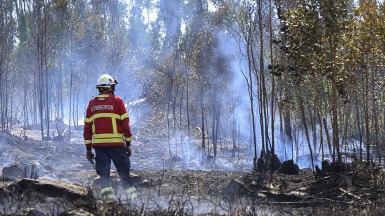 Deadly wildfires and relentless heatwave strike the Iberian Peninsula. 1 c8cfede6ce1c2d52051f23c0ad0d6d1a 1754332197