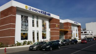 From Field to Shelf: Agricultural Cooperatives Navigating Marketing Challenges and Equity Issues 1 dd008c0e d81c 46a8 a368 c469d9f1f272 lg