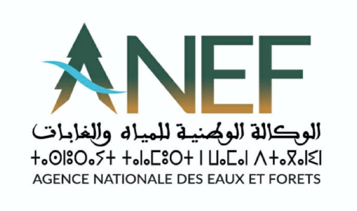 The National Agency for Water and Forests Provides Clarifications Following the Publication of the Article Titled: "The Management of the Maâmora Forest in Sala Al Jadida: A Missed Opportunity." 1 logo