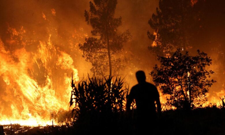 Portugal: The Largest Fire in Its History Finally Contained, Nearly 1,000 Firefighters Still Deployed 1 vis 0730202517233557