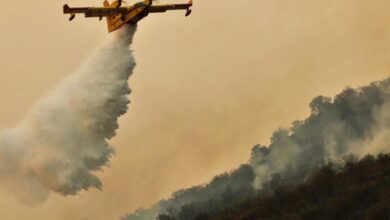 Fires in Spain: France Sends Aircraft to Support firefighting Efforts 3 vis 0813202518494530