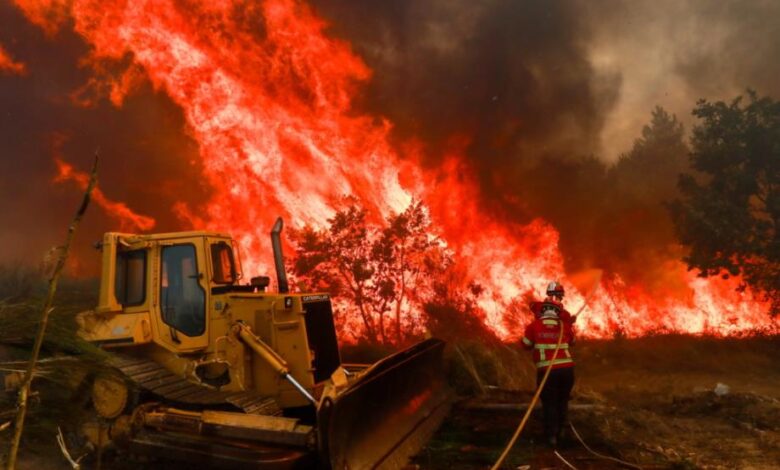 Spain Launches a National Pact to Address the Climate Emergency 1 vis 0813202521034989