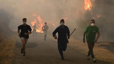 vis 0814202511070131