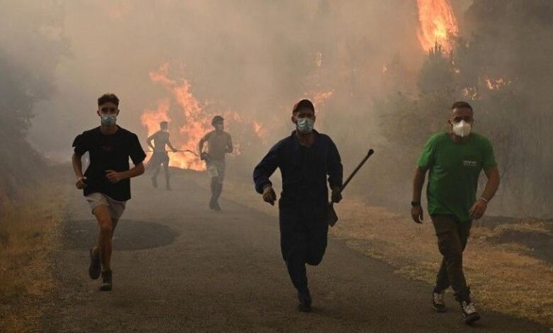 Third Death in Spain Linked to Wildfires: A New Tragedy in Castile and León 1 vis 0814202511070131