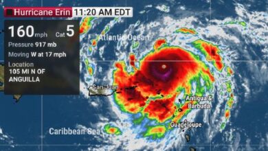 vis 0816202519044420