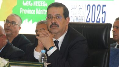 WhatsApp Image 2025 11 08 at 15.49.23 1024x683