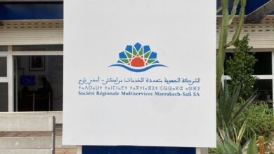 WhatsApp Image 2025 11 17 at 14.19.08