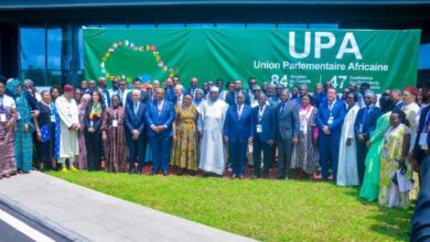 vis 1123202517354768