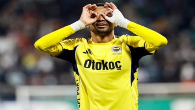 vis 1123202522195815 s.webp