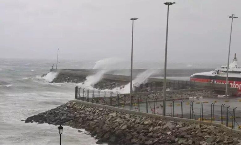 vis 1113202515501995