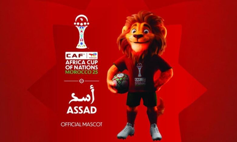 vis 1208202512130833