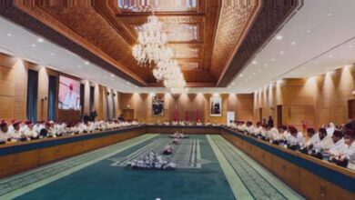 vis 1212202523351005