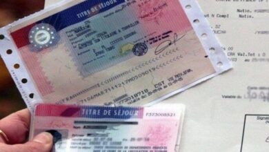 vis 1214202518425193