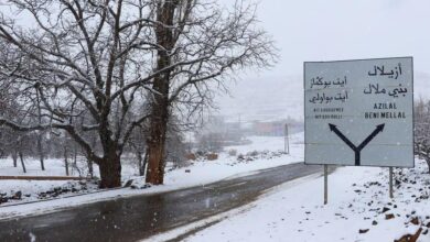 vis 1216202516484381