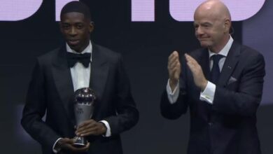 vis 1216202520013985