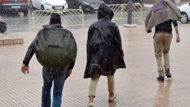 92213f74 dcf0 43f1 9035 33e71be74a1d