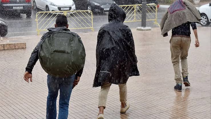 92213f74 dcf0 43f1 9035 33e71be74a1d