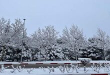 Weather Alert: Snowfall Expected from Tuesday to Thursday in Several Regions 7 Neige 3