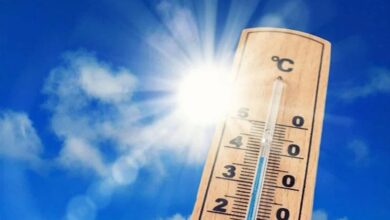 Expected Temperatures for Sunday, January 11, 2026 6 b0f040f6 1e9e 43aa 830c 57b8f578a75f