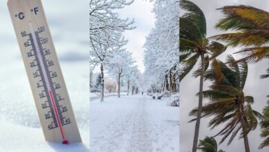 copie de copie de copie de copie de copie de copie de site image 3