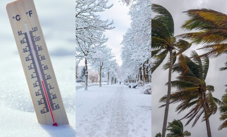 copie de copie de copie de copie de copie de copie de site image 3