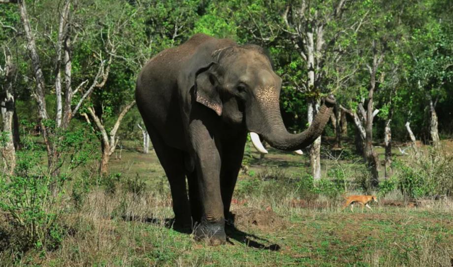 vis 0111202606274623