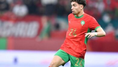 vis 0115202613444383