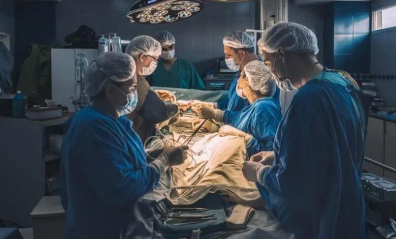 vis 0116202610343464