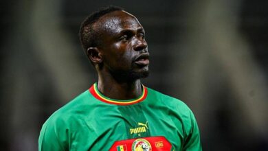 vis 0119202610390483