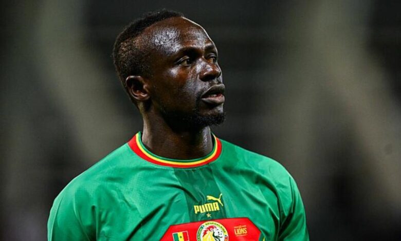 vis 0119202610390483