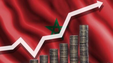 vis 0319202415284128