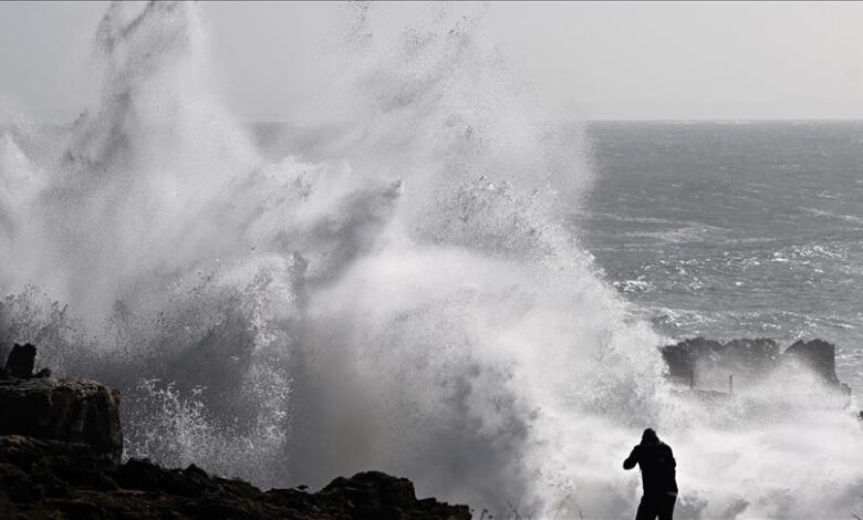 vis 1029202518534139