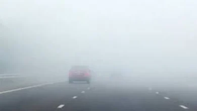 494405fa 5f49 4729 9a3d 9a5faa6ac1de 16x9 1200x676.webp