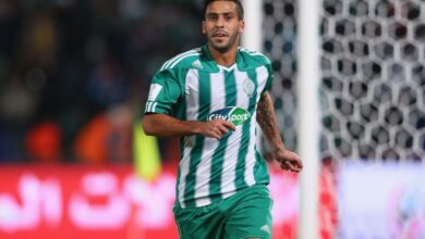 licensed image 7 1024x725