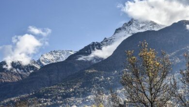 vis 0201202515134882