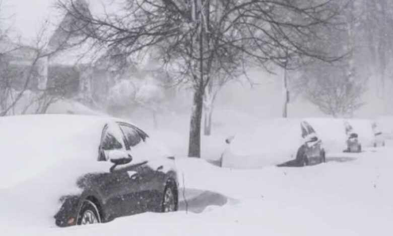 vis 0201202607090178