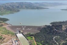 vis 0202202622330866