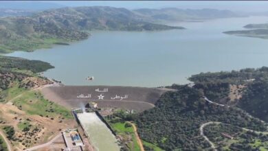 vis 0202202622330866