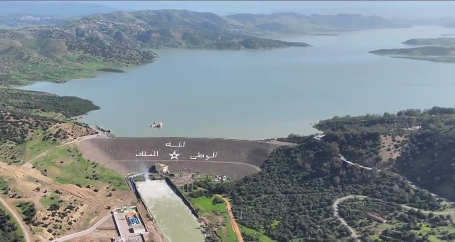 vis 0202202622330866