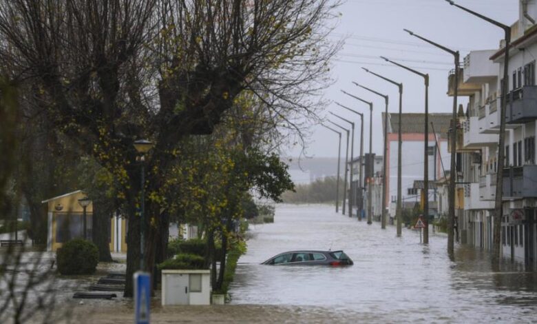 vis 0205202600104188