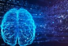 vis 0206202610053436