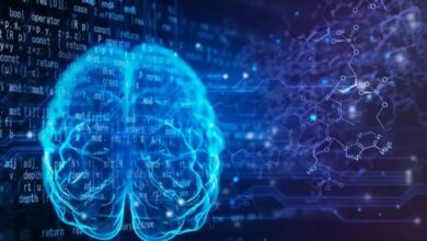 vis 0206202610053436